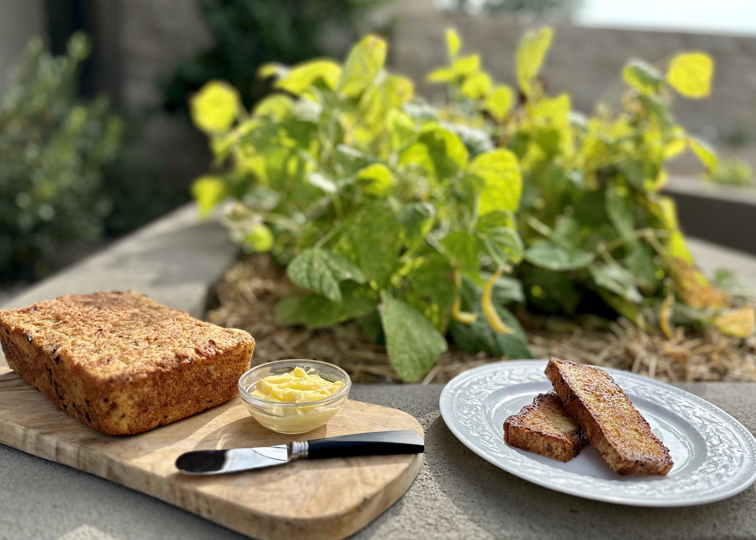 Renee’s Table Dilly Bread Recipe Renee Parsons