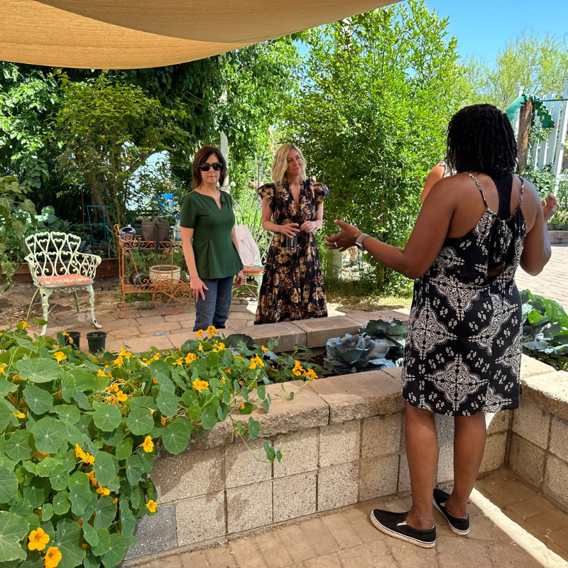 3 women look at swiss chard growing in an outdoor garden